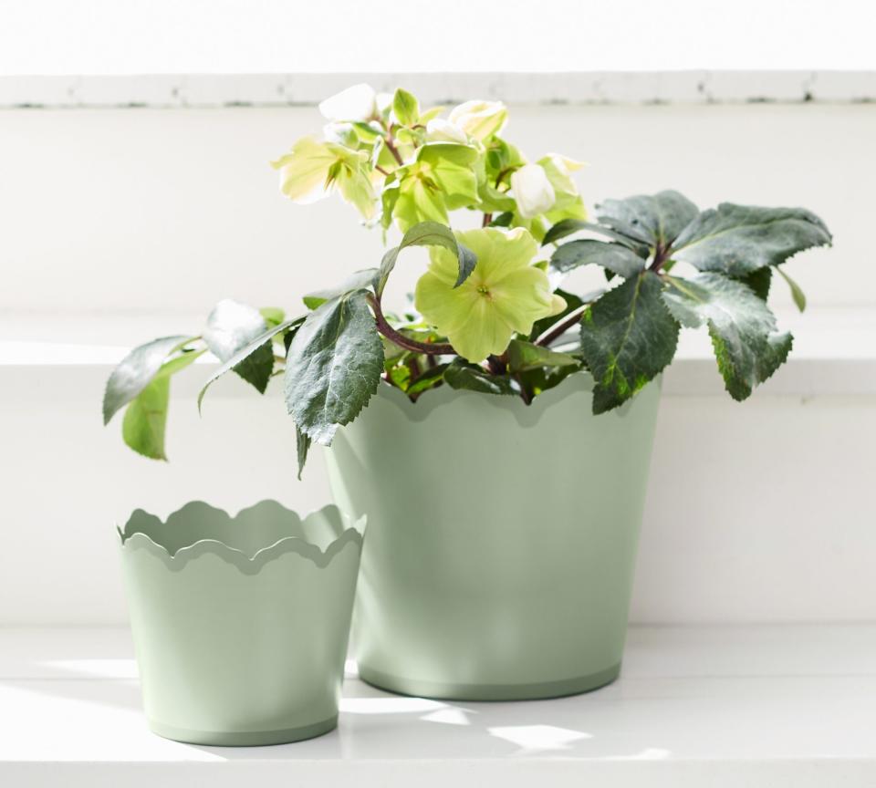 Lily Scallop Metal Tole Planters