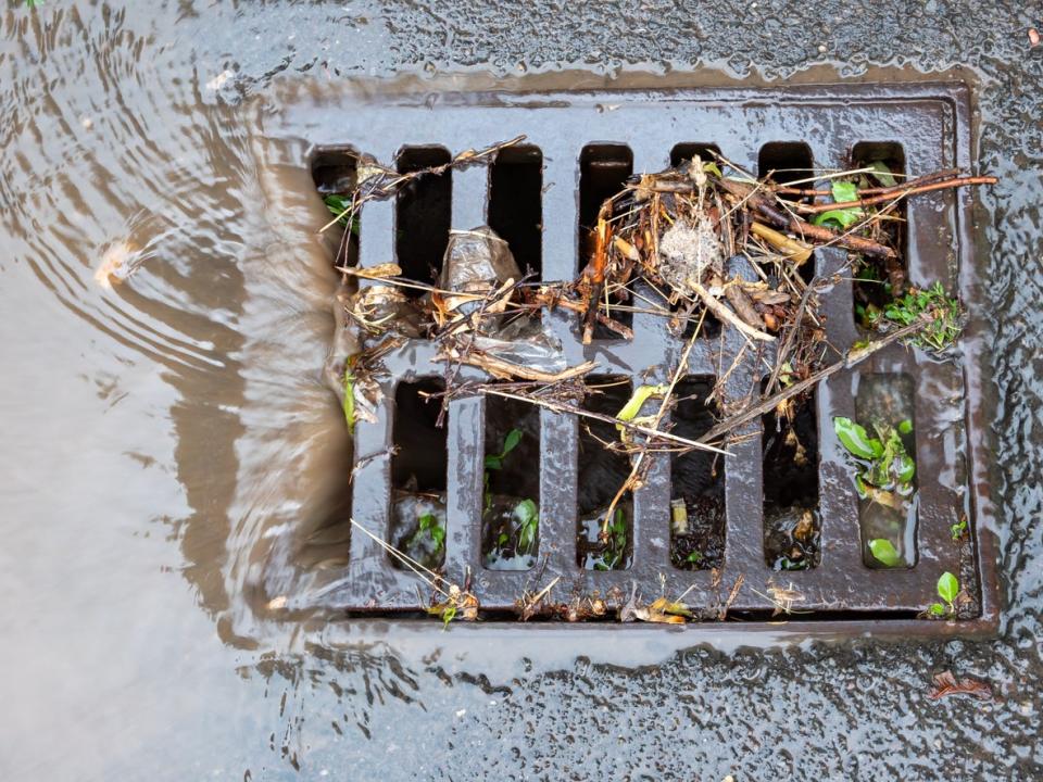 close up on square grill of curbside drain with water runoff and grass debris 