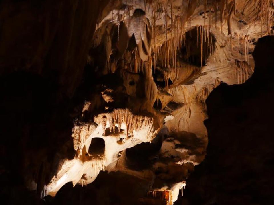 carldbad caverns