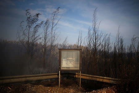 A shrine is seen next to burnt trees after a forest fire in Miro, near Penacova, Portugal, October 17, 2017. REUTERS/Pedro Nunes