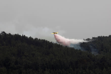 A firefighting aircraft flies over a forest near kibbutz Harel which was damaged by wildfires during a record heatwave, in Israel May 24, 2019. REUTERS/Ronen Zvulun