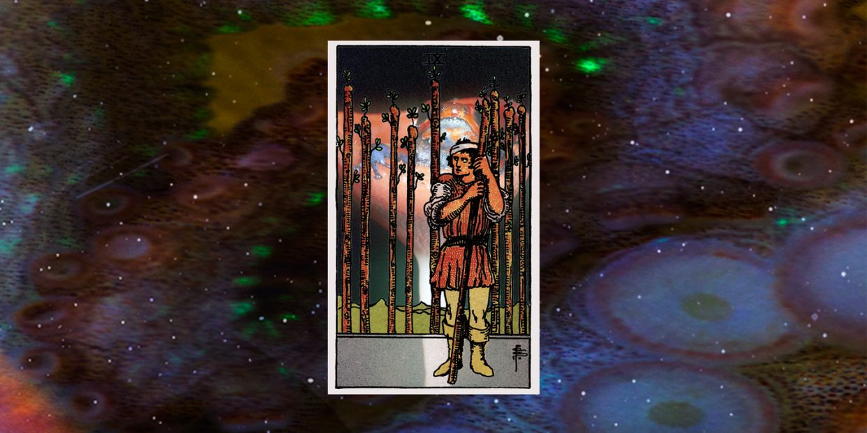 nine of wands tarot card