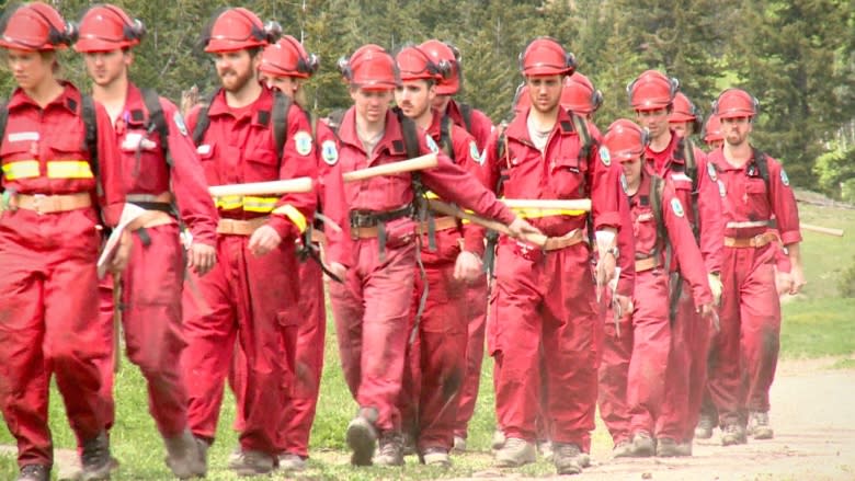 B.C. Wildfire Service expects crush of applications following busy year