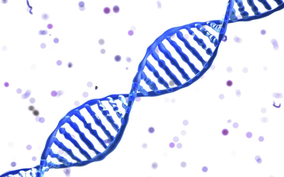 Each time a normal cell divides and copies its DNA to produce two new cells, it makes multiple mistakes - Credit: REX