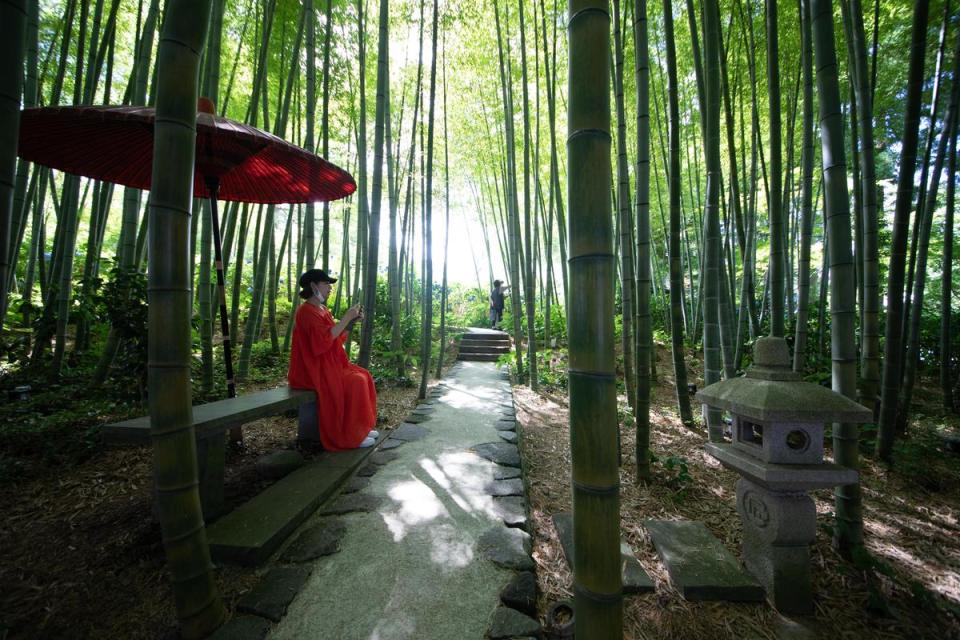 寺院中也有一片可以靜心的孟宗竹林。（日本觀光局JNTO提供）