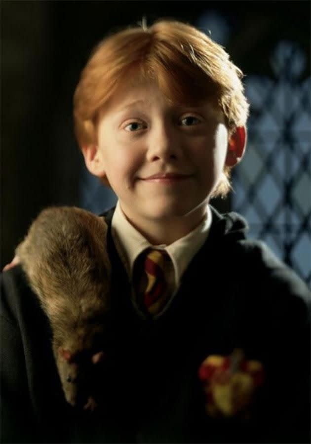 Ron and Scabbers. Source: Warner Bros