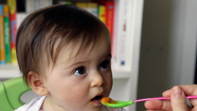 Raisa Lilling feeds her daughter Elliana homemade baby food at her home in Santa Monica, Calif., April, 10, 2007. A new study says that almost 60% of the baby foods available in U.S. supermarkets fall short of nutritional guidelines set by the World Health Organization.