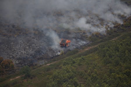 The Wider Image: Indonesia's firefighters on frontline of Borneo's forest blazes