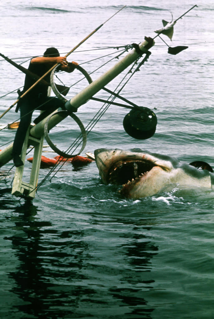 5 Most Frightening Killer Animals Jaws