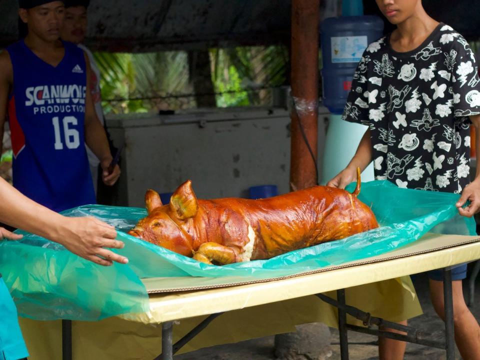 cebu lechon pig