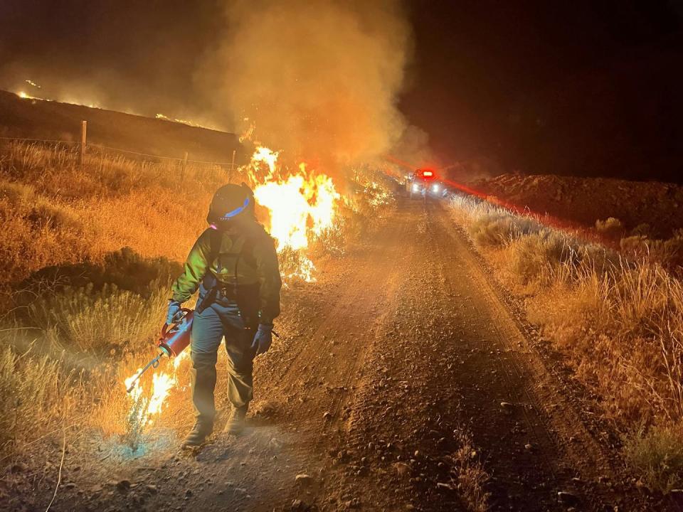 A wildland firefighter conducts a controlled burnout to help stop a fire near Spokane, Wash., in 2022. <a href="https://www.flickr.com/photos/nifc/52530781658/" rel="nofollow noopener" target="_blank" data-ylk="slk:Sienna Falzetta/BLM;elm:context_link;itc:0;sec:content-canvas" class="link ">Sienna Falzetta/BLM</a>