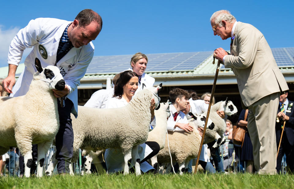 <p>The Prince of Wales during a visit to the Great Yorkshire Show at the Great Yorkshire Showground in Harrogate, North Yorkshire. Picture date: Thursday July 15, 2021.</p>
