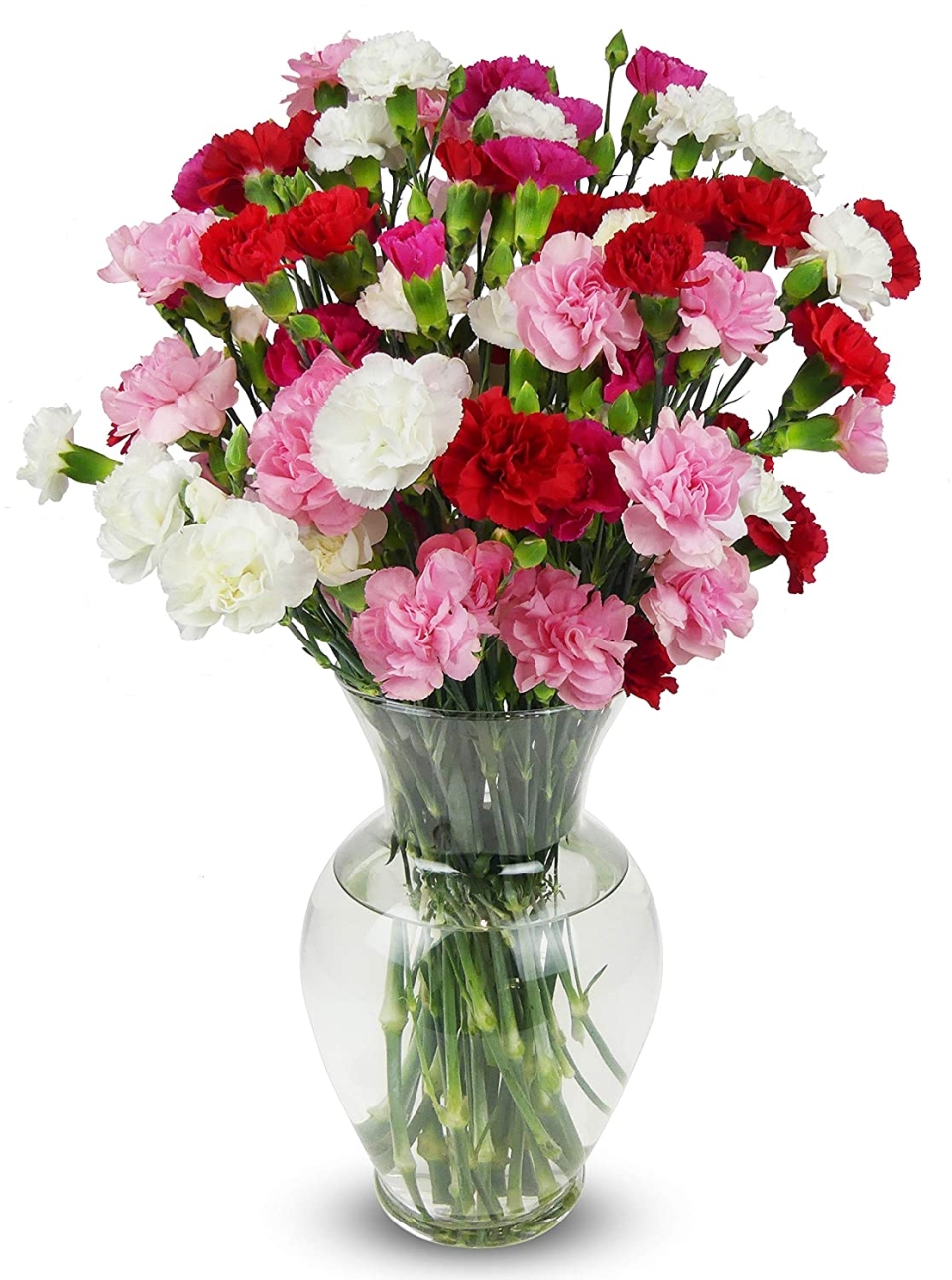 Benchmark Bouquets Rainbow Mini Carnations with Vase