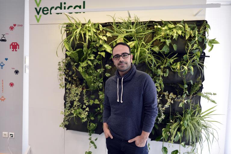 Petros Boskos, 35, co-founder of Verdical Planting Systems poses in front of one of his creations in Athens on November 12, 2014