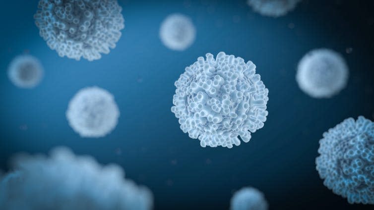 <span class="caption">White blood cells normally protect against diseases.</span> <span class="attribution"><a class="link " href="https://www.shutterstock.com/image-illustration/3d-illustration-white-blood-cell-leukocyte-1108335812" rel="nofollow noopener" target="_blank" data-ylk="slk:microstock3D;elm:context_link;itc:0;sec:content-canvas">microstock3D</a></span>