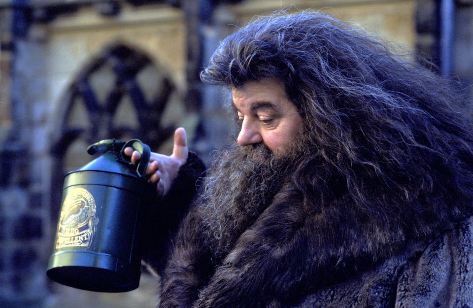 Hagrid walking outside