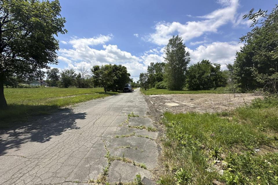 Overgrown empty lots sit on Detroit's eastside, Monday, June 24, 2024. The eastside neighborhood is one of a few that are expected to receive solar arrays as part of Detroit's efforts to remove blight and find uses for underpopulated areas in the city. (AP Photo/Corey Williams)