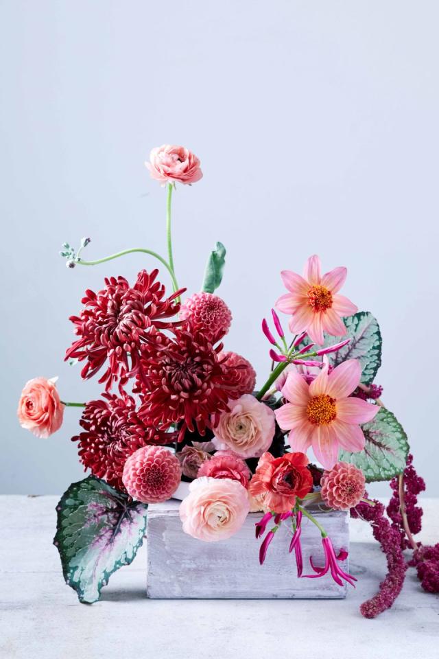 Head florist at Morrisons Flowerworld reveals the secret to perfect flowers