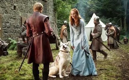 Sansa direwolf called Lady - Credit: HBO