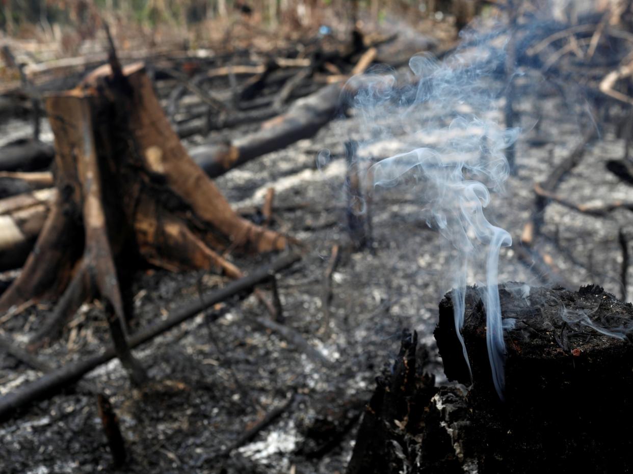 amazon rainforest fire farmers