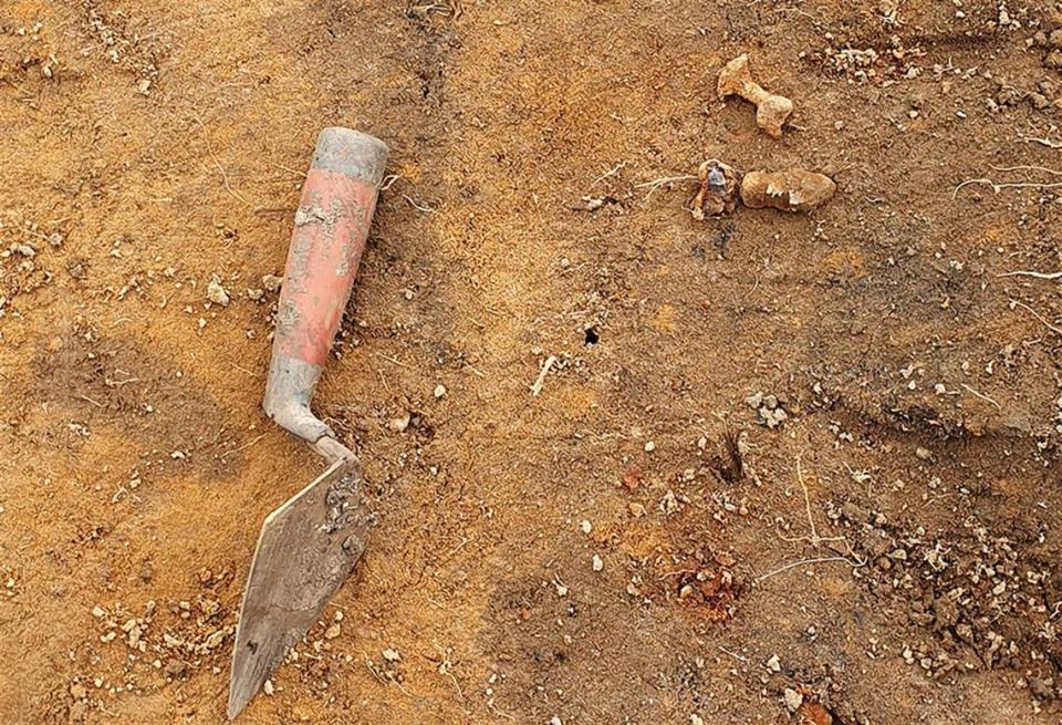 Some of the nails and iron fragments found at the site.