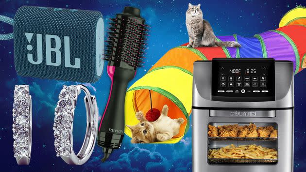 A portable JBL Bluetooth speaker, a pair of 18k white gold-plated hoop earrings with Swarovski crystals, a Revlon hot air brush, an indoor cat tunnel and a Gourmia air fryer from Walmart.