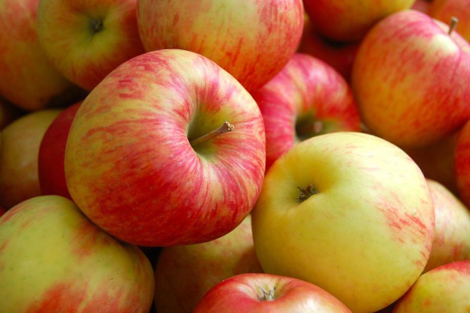Minnesota: Honeycrisp apples