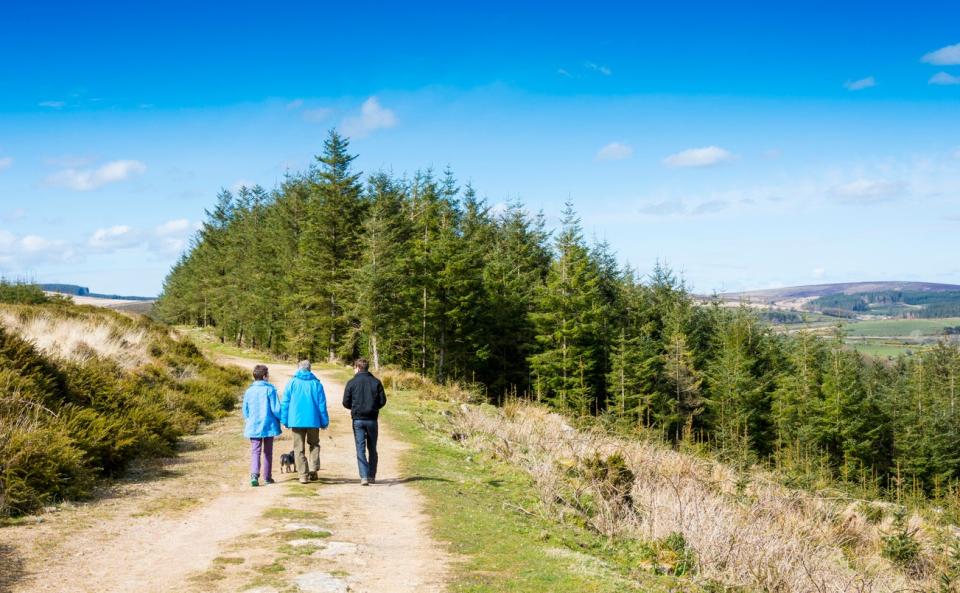 Dartmoor offers walkers plenty of trailsGetty Images/iStockphoto