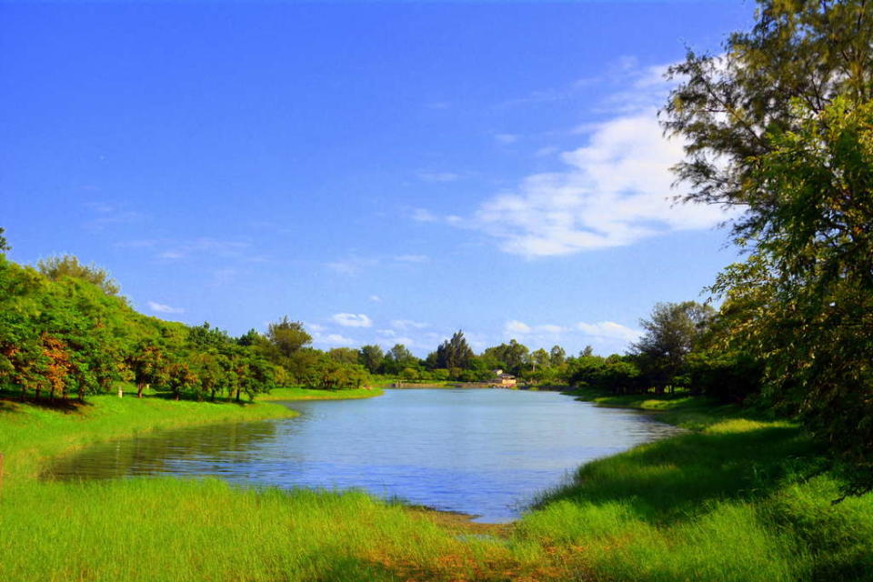 台東森林公園結合森林與海洋元素，意外成為隱藏版秘境。圖/台東觀光旅遊網