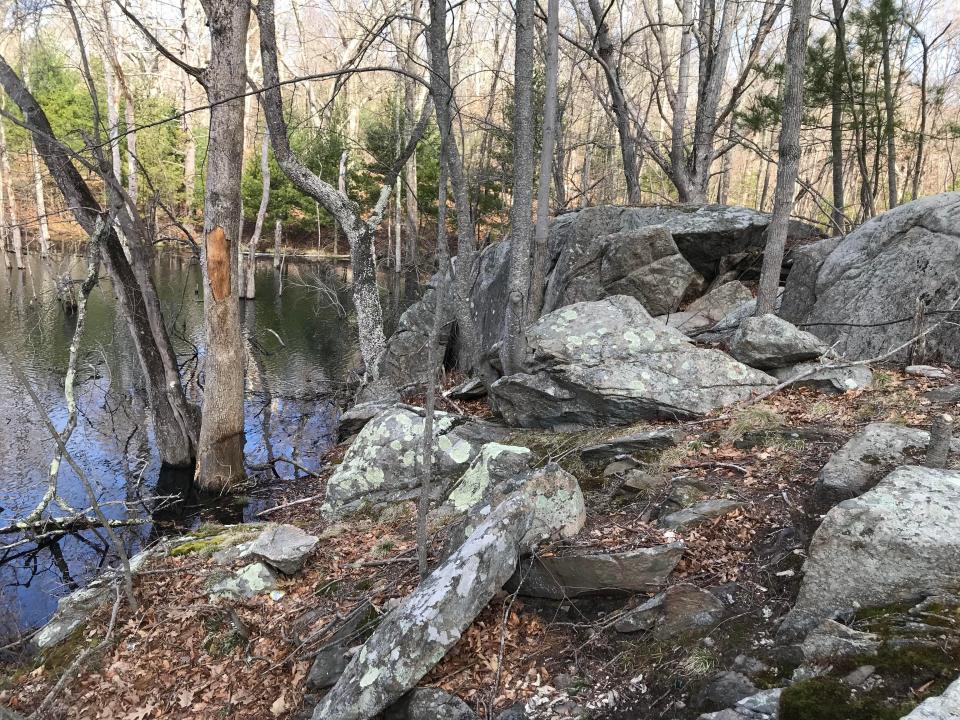 At the northern end of Booth Pond, a granite outcropping provides a good overlook of the preserve.