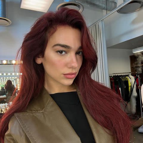 <p>Dua Lipa/Instagram</p>