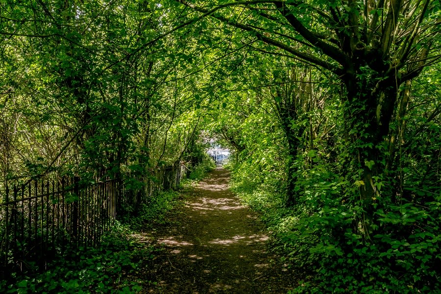 90 acri di terreno valgono bene qualche piccolo sacrificio economico, in particolare perché presso la chiesa tutto diventerà tuo, compresi i sentieri e un bosco praticamente vergine. (foto: Caters)