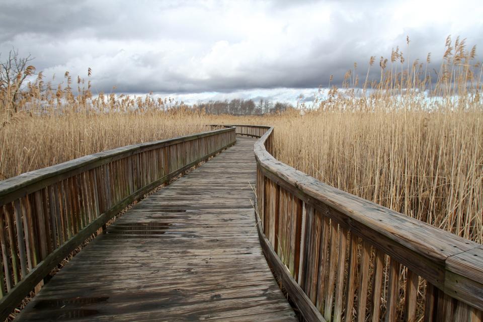 The boardwalk along the Audubon Society of Rhode Island's Claire McIntosh Wildlife Refuge.

Providence Journal File Photo/Kathy Borchers