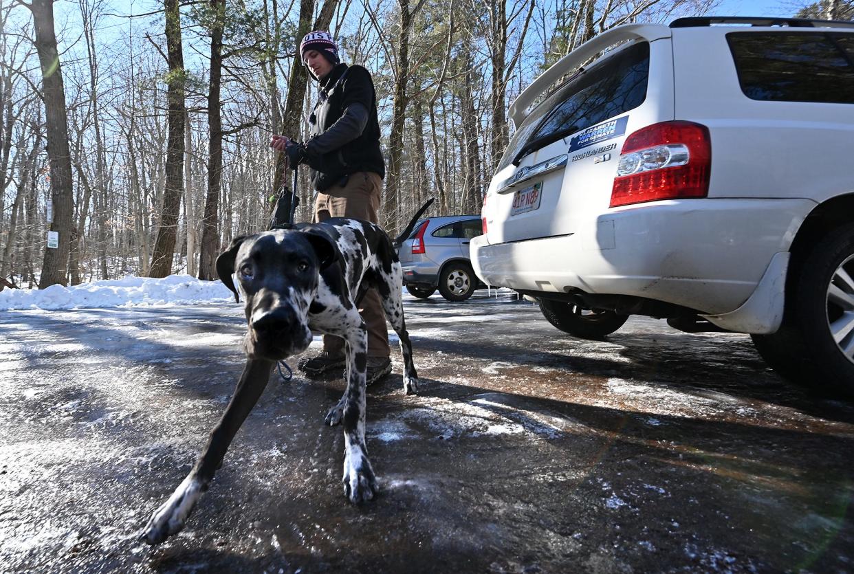 Boynton Park in Paxton, a very popular-dog walking area, had an ice-covered parking area and great dane Thor's legs splayed out a little as he and owner Nathan Meyer of Longfellow prepare to go for a walk. Meyer, a nurse at UMass Medical Center in Worcester, had ice walkers for his walk before work.