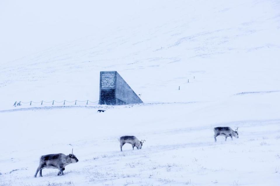 The vault was built to protect millions of food crops from climate change, wars and natural disasters.