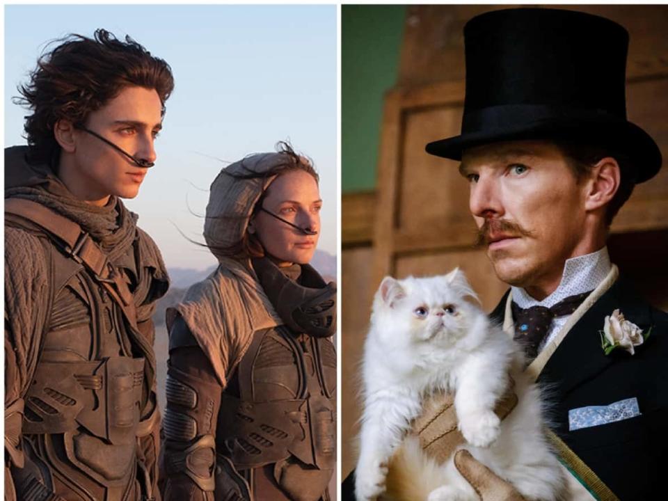 From left, the movies Dune, The Electrical Life of Louis Wain and The French Dispatch are some of the notable box office releases this Friday.  (TIFF, TIFF, Searchlight Pictures - image credit)