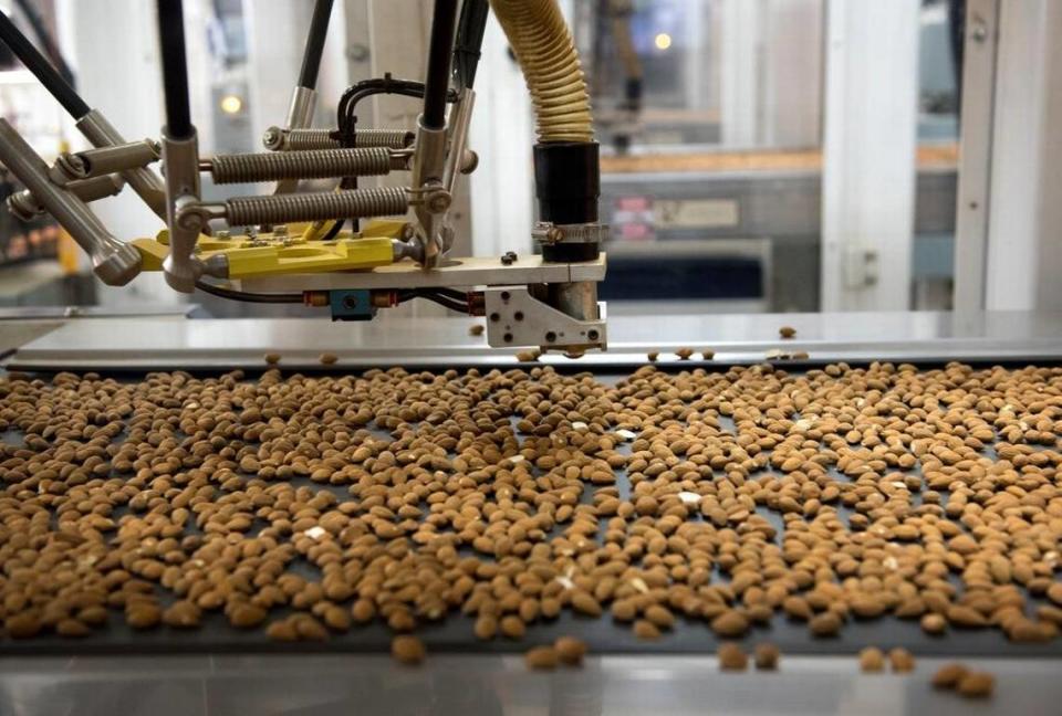 A robot sorts almonds Thursday, April 14, 2016, at Travaille and Phippen Inc. in Ripon.