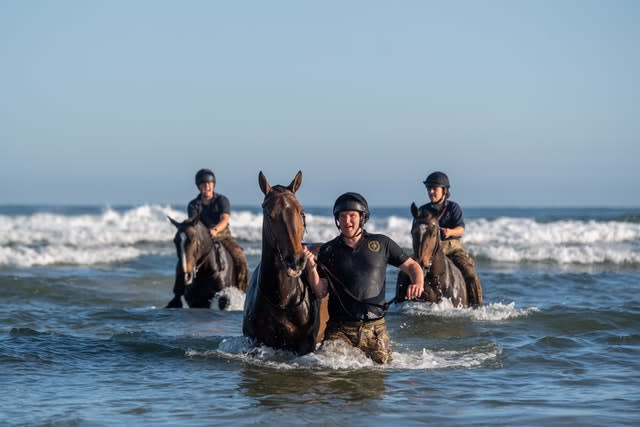 The King’s Troop Royal Horse Artillery in Norfolk