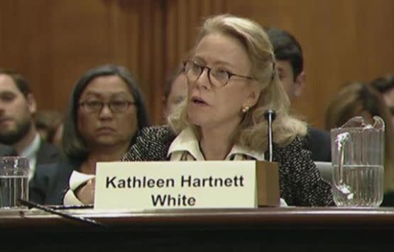 Kathleen Hartnett-White testified before the Senate Environment and Public Works Committee in November.&nbsp; (Photo: Senate EPW)
