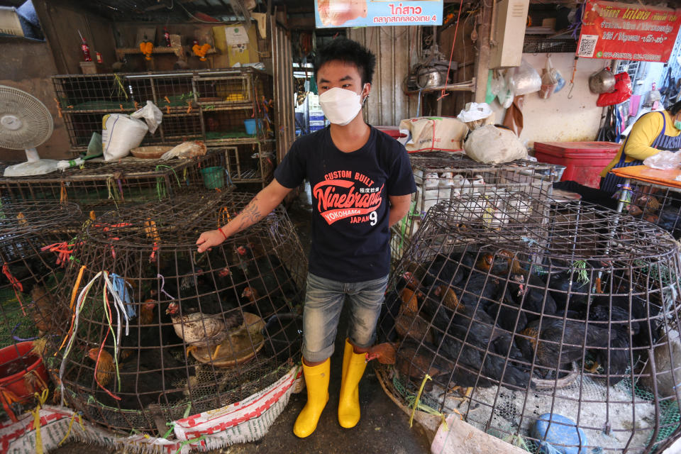 人類通常是接觸帶有 H3N8 禽流感病毒的禽鳥或其排泄物而感染。