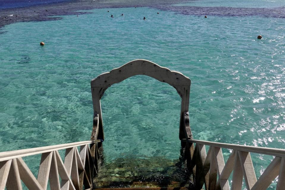 File picture of tourists snorkelling near a beach at the Red Sea resort of Sahl Hasheesh, Hurghada (REUTERS)