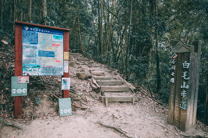 台中｜谷關七雄 白毛山步道