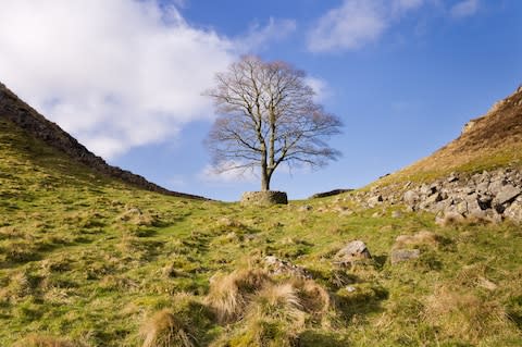 Hadrian’s Wall - Credit: DAVID HEAD