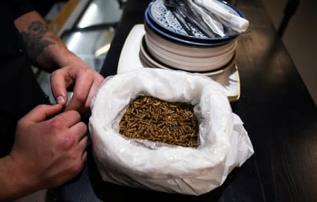 Chef Mario Barnard opens a package of Black soldier fly larvae during meal preparation at the Insect Experience Restaurant in Cape Town