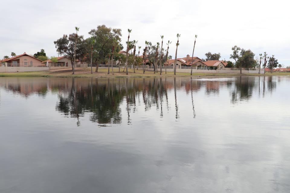 Arizona Lake and Pond Management has done chemical treatments to address an algae buildup and putrid smell coming off a lake at the Arrowhead Country Club’s golf course in Glendale.