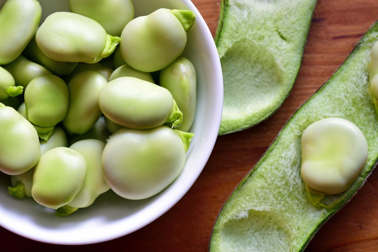 broad beans fava beans in bowl