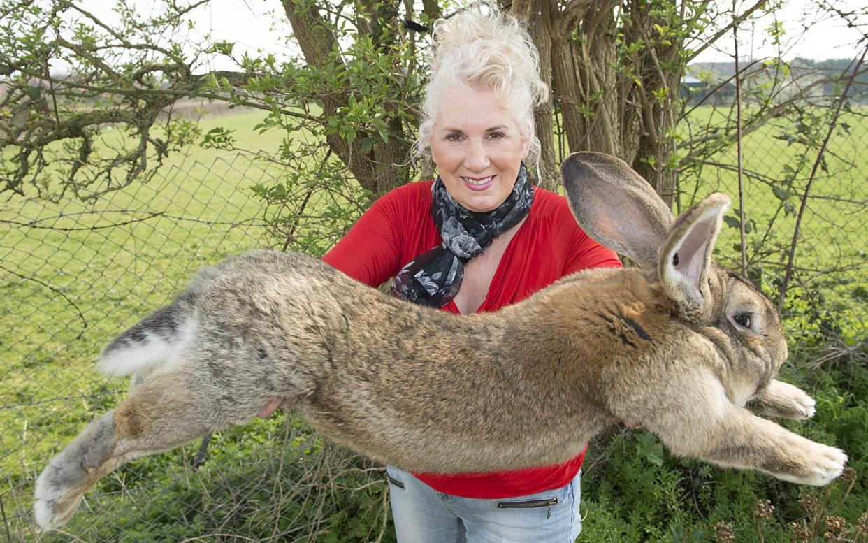 Annette Edwards from Stoulton Worcestershire and her rabbit Darius - Damien McFadden/ANL/REX/Shutterstock