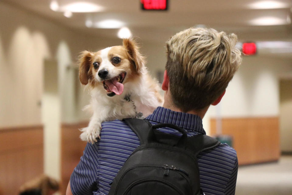 "On March 3, 2016, my little brother died. He was my absolute best friend in the world, and Rocket's original human. He passed away in my arms, with Rocket right beside us the whole time. Rocket was devastated by the loss of John David almost as much as I was. Now, not only does Rocket help me when it comes to my issues and anxiety, but every time I look down, I get to see my brother&rsquo;s best friend. I see the dog that brought so much joy to my little brother and made him smile on his worst days. Not only does Rocket act as a service animal that helps me tremendously with my day-to-day life, he is a part of my brother that I still have with me."&nbsp;&mdash; <i>Celia Scrivener, Rocket's mom</i>