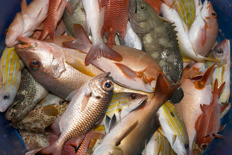 Steer clear of this seafood that's bad for you and the environment