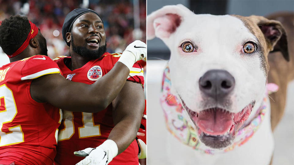 Derrick Nnadi marked his Super Bowl win with a brilliant gesture involving adopted dogs.